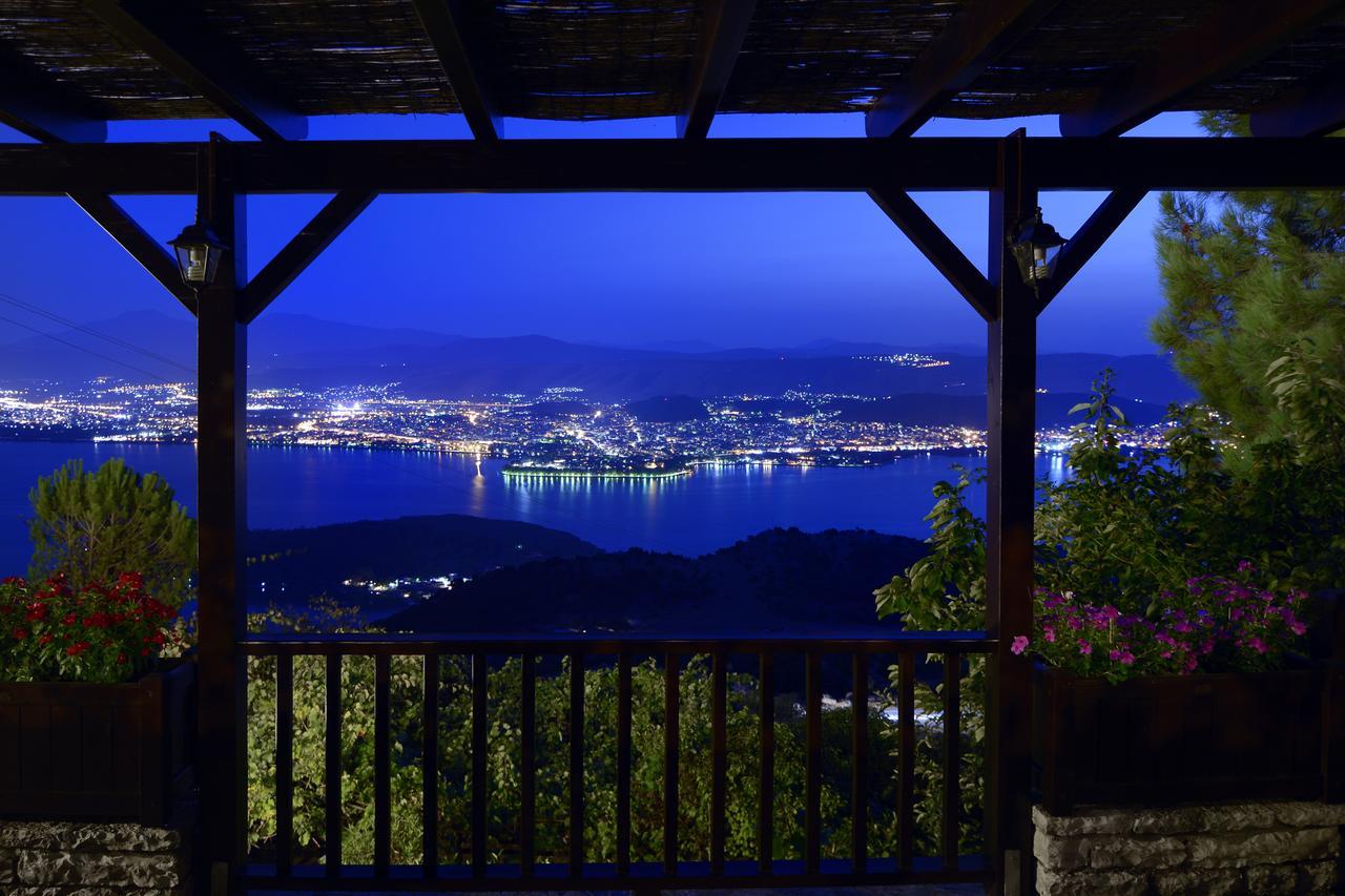 Villa Infinity Ioannina